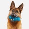 Bark Bark Blue Plush Treat Giver River Dog Toy 1 pk 212018 - alternate 4